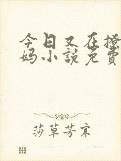 今日又在撩拨后妈小说免费阅读