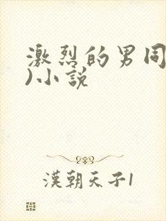激烈的男同(h)小说