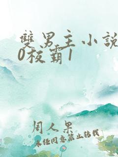 双男主小说学霸0校霸1