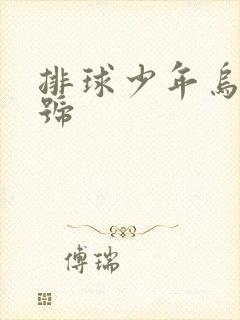 排球少年乌野6号