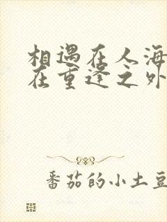 相遇在人海聚散在重逢之外