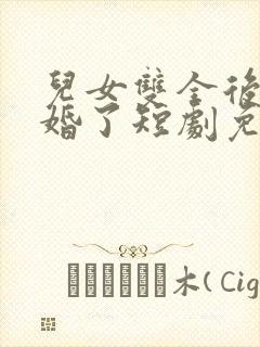 儿女双全后我闪婚了短剧免费观看