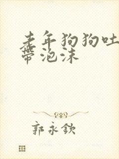 老年狗狗吐黄水带泡沫