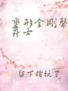 变形金刚声波x爵士