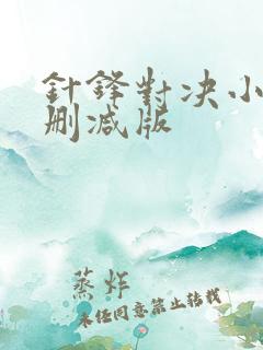 针锋对决小说无删减版