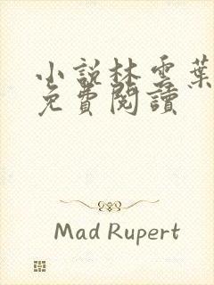 小说林云叶婉清免费阅读