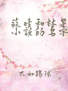 苏晴和林是什么小说的名字