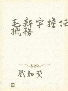 毛新宇担任什么职务