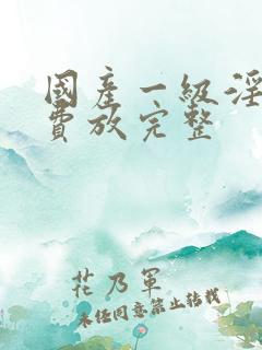 国产一级淫片免费放完整