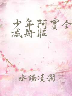 少年阿宾全文未减册版