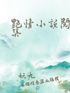 艳情小说阅读合集