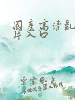 国产高清乱码毛片入口