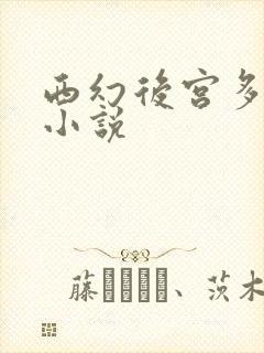 西幻后宫多女主小说