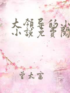 大领导的小妻子小说免费阅读