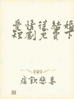 爱情从结婚开始短剧免费下载