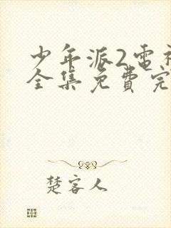 少年派2电视剧全集免费完整版