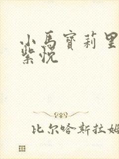 小马宝莉里面的紫悦