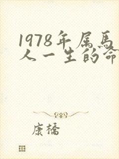 1978年属马人一生的命运怎样?
