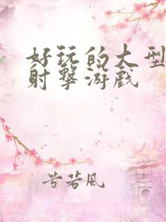 好玩的大型单机射击游戏