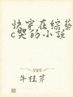 快穿在综艺上被c哭的小说