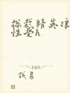 总裁精英浪荡双性受h