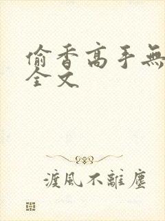 偷香高手无删减全文