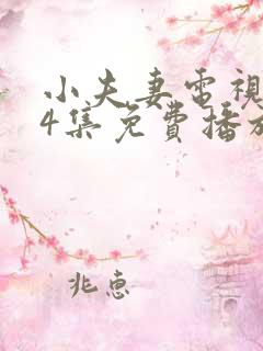 小夫妻电视剧24集免费播放