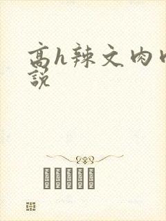 高h辣文肉肉小说