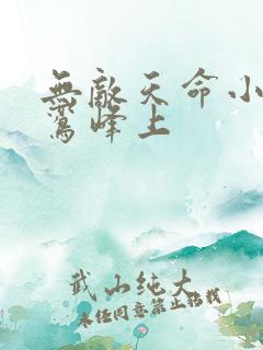 无敌天命小说青鸾峰上