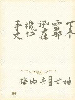 手机迅雷下载的文件在哪个文件夹