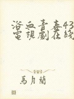 浴血青春43集电视剧在线播放免费