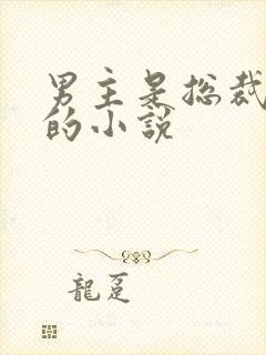 男主是总裁姓盛的小说