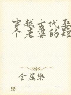 穿越古代娶了四个老婆的短剧