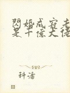 闪婚成宠老公竟是千亿大佬