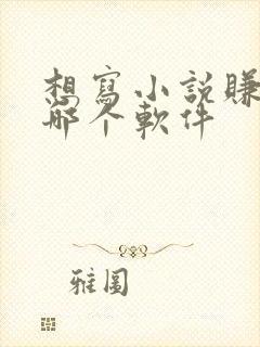 想写小说赚钱去哪个软件