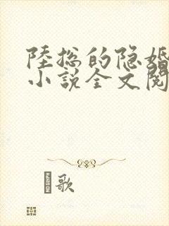 陆总的隐婚娇妻小说全文阅读