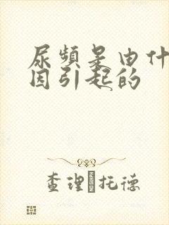 尿频是由什么原因引起的