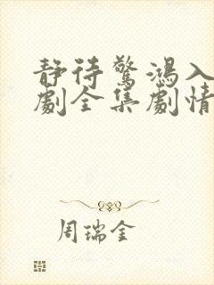 静待惊鸿入瓮短剧全集剧情简介