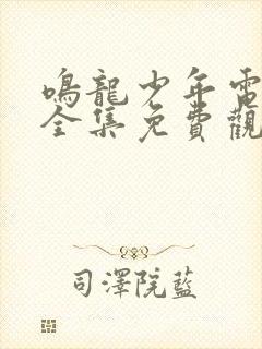 鸣龙少年电视剧全集免费观看高清