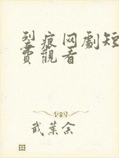 裂痕网剧短剧免费观看