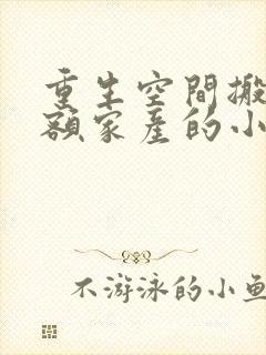 重生空间搬空巨额家产的小说