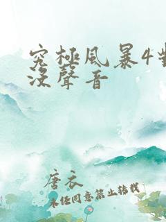 究极风暴4对话没声音