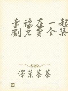 幸福在一起电视剧免费全集