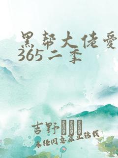 黑帮大佬爱上我365二季
