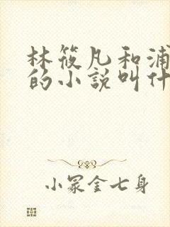 林筱凡和浦应辛的小说叫什么名字