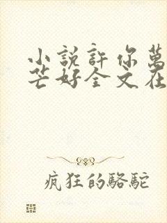 小说许你万丈光芒好全文在线阅读