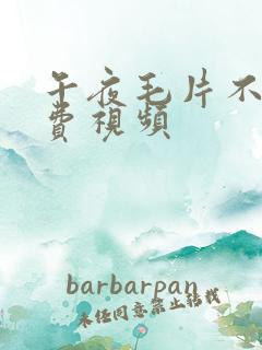 午夜毛片不卡免费视频