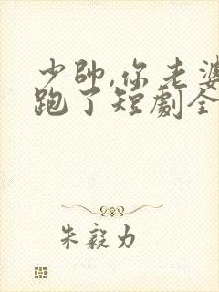 少帅,你老婆又跑了短剧全集在线观看