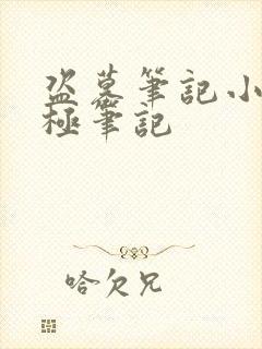 盗墓笔记小说终极笔记