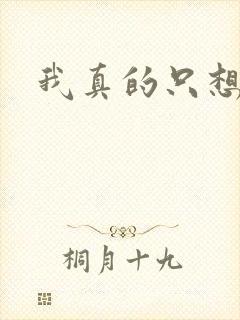 我真的只想打铁